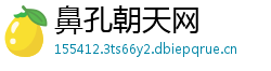 鼻孔朝天网